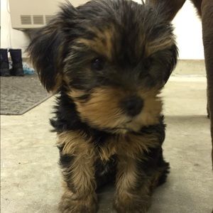 Meet your Posher, Sharon